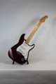 Fender Strat