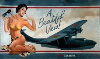 PBY Catalina Wall Mural entitled "A Beautiful View" oil on metal, removable in sections measures approx 10' x 7'