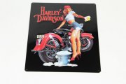 Collectible Harley Davidson Signs-NEW