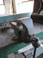 IMG 0020