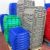IMG_1762